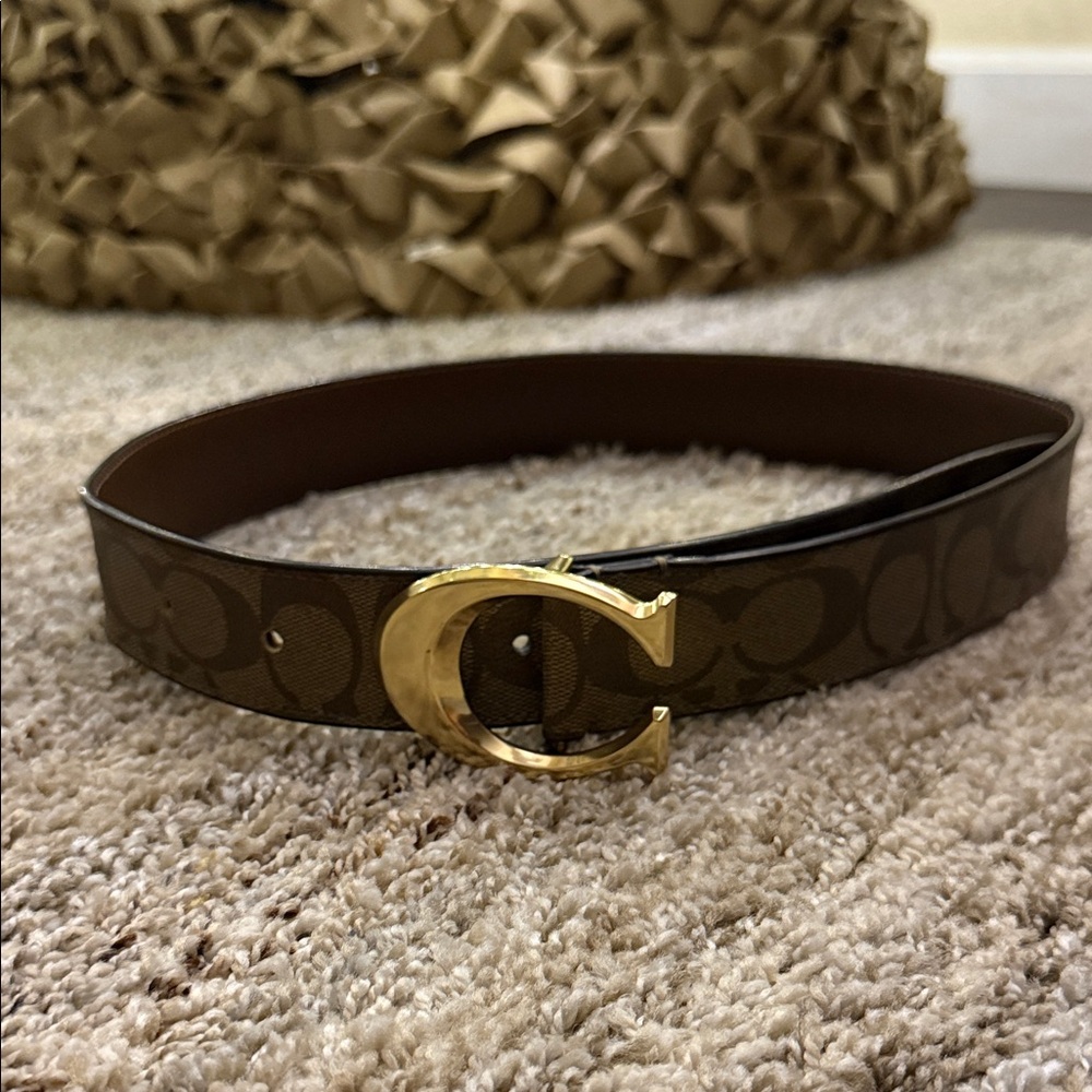 Brown and Gold Women's Belt